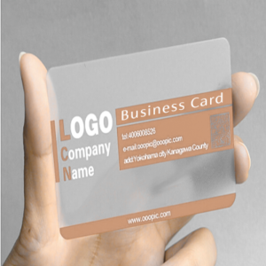 Plastic PVC Business ID Card Printing Transparent Translucent Business Cards Wholesale (with chrome silver ink)